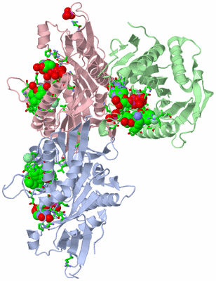 Image Asym./Biol. Unit - sites