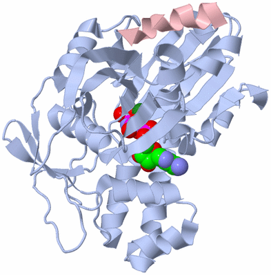 Image Biological Unit 1