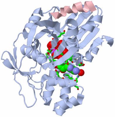 Image Biol. Unit 1 - sites