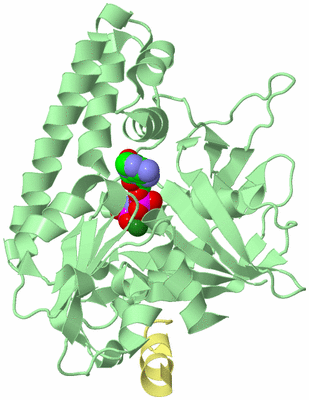 Image Biological Unit 2