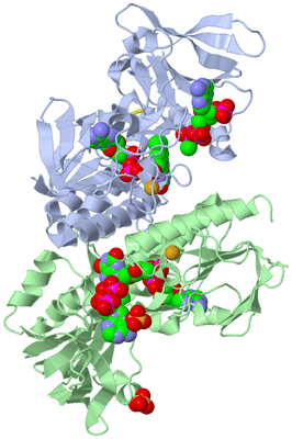 Image Asym./Biol. Unit