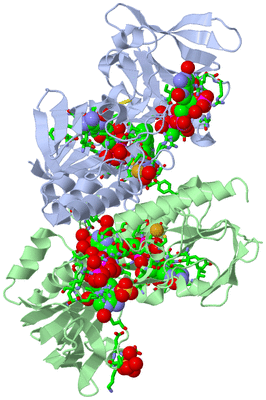 Image Asym./Biol. Unit - sites