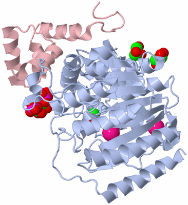 Image Biological Unit 1