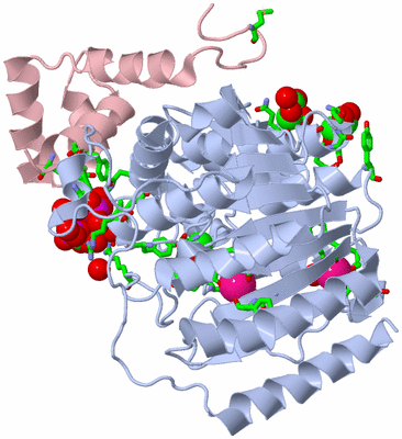 Image Biol. Unit 1 - sites