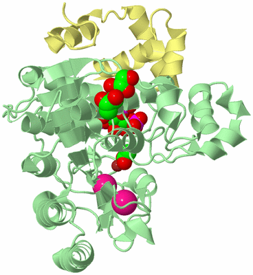 Image Biological Unit 2