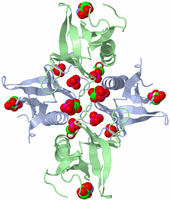 Image Biological Unit 1