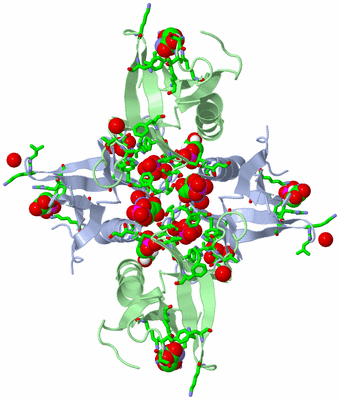 Image Biol. Unit 1 - sites