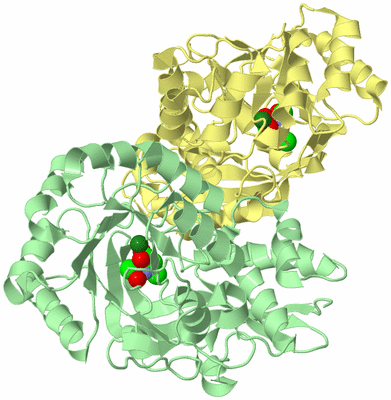 Image Biological Unit 2