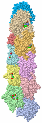 Image Asym./Biol. Unit - sites