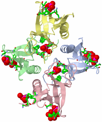 Image Asym./Biol. Unit - sites