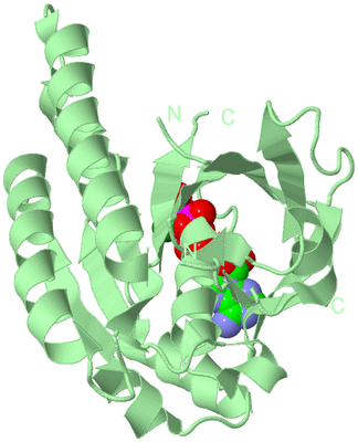 Image Biological Unit 2