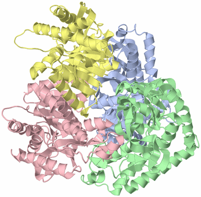 Image Asym./Biol. Unit