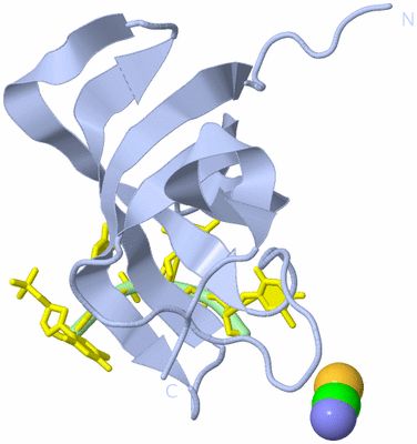 Image Biological Unit 1