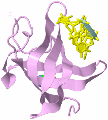 Image Biological Unit 3