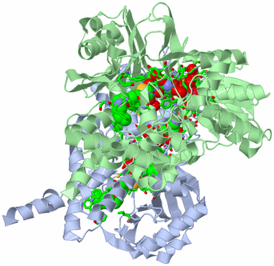 Image Asym./Biol. Unit - sites