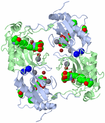 Image Biological Unit 1