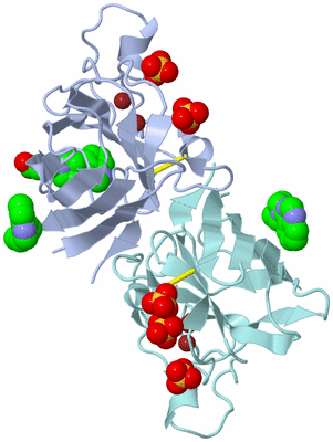 Image Asym./Biol. Unit