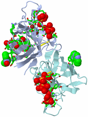 Image Asym./Biol. Unit - sites