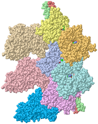 Image Asym./Biol. Unit