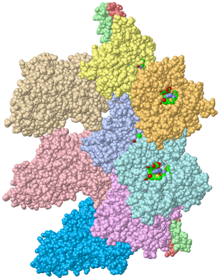 Image Asym./Biol. Unit - sites