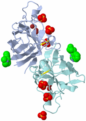 Image Asym./Biol. Unit