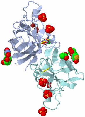 Image Asym./Biol. Unit