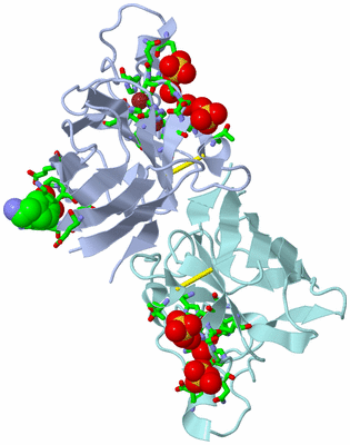 Image Asym./Biol. Unit - sites