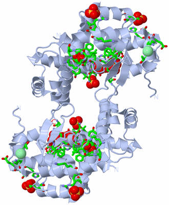 Image Biol. Unit 1 - sites