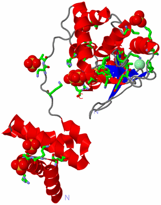 Image Asym. Unit - sites