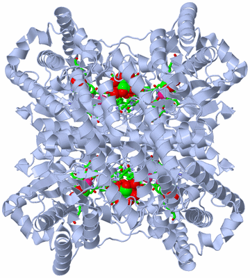 Image Biol. Unit 1 - sites