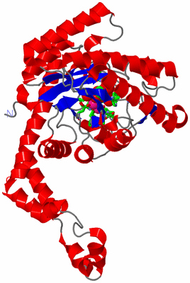 Image Asym. Unit - sites