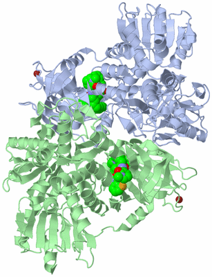 Image Biological Unit 1