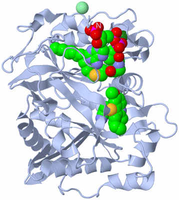 Image Biological Unit 1