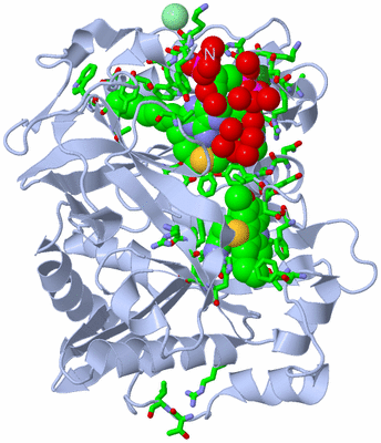 Image Biol. Unit 1 - sites