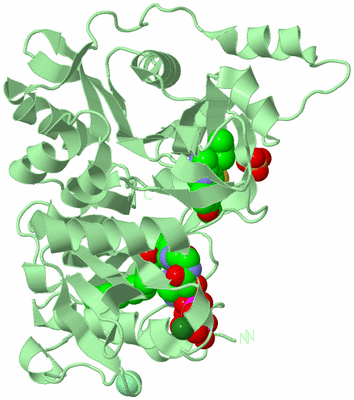 Image Biological Unit 2