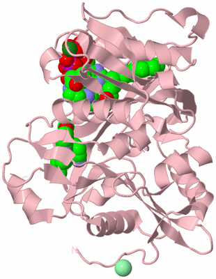 Image Biological Unit 3