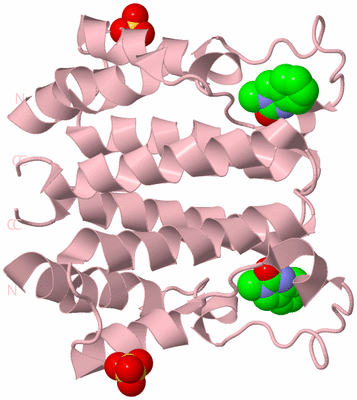 Image Biological Unit 2