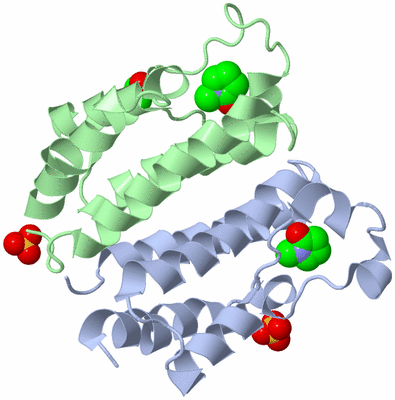 Image Biological Unit 1