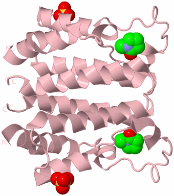 Image Biological Unit 2