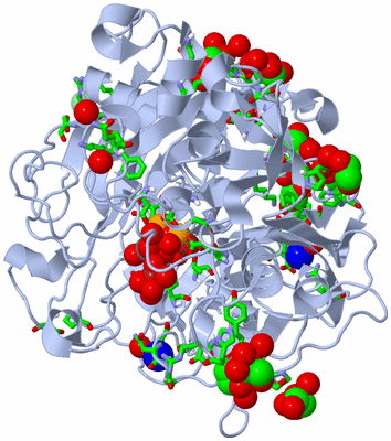 Image Biol. Unit 1 - sites