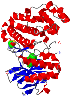 Image Asym./Biol. Unit