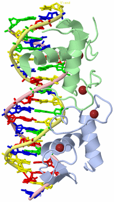 Image Biological Unit 1