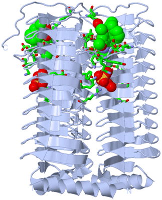 Image Biol. Unit 1 - sites