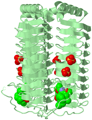 Image Biological Unit 2