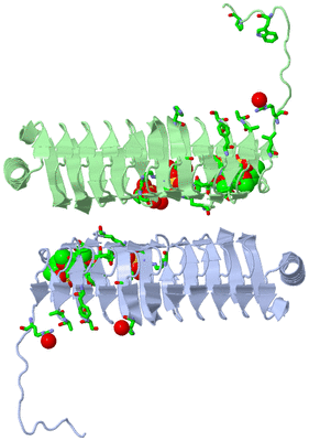 Image Asym. Unit - sites