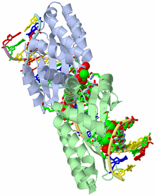 Image Asym./Biol. Unit - sites