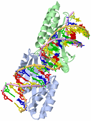 Image Asym./Biol. Unit