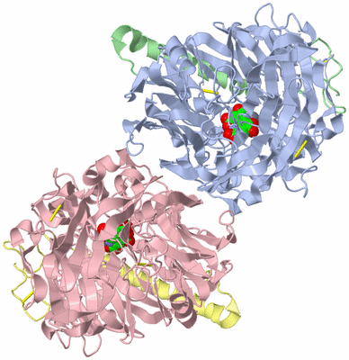 Image Asym./Biol. Unit