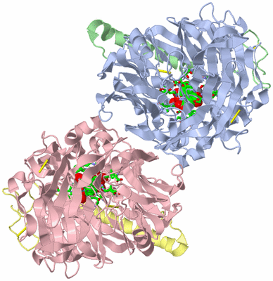 Image Asym./Biol. Unit - sites