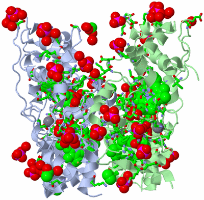 Image Asym./Biol. Unit - sites